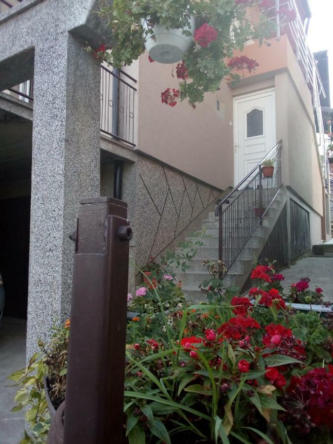 Apartmani "Babici" バニャ・ルカ エクステリア 写真